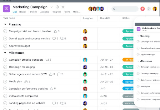 Asana Marketing