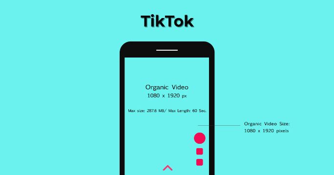 tiktok Organic Videos