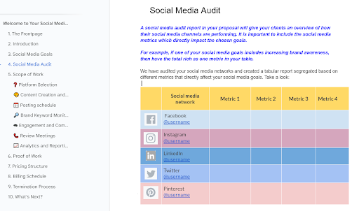 Social Media Audit