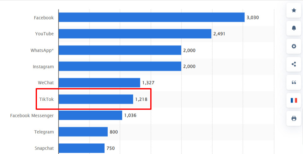 TikTok Usage Stats